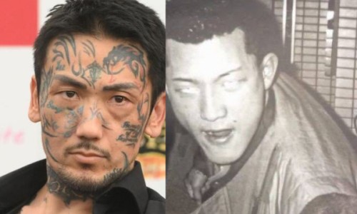 田七花之功效网- 田七花功效与作用禁忌知识,分享田七花有什么功效