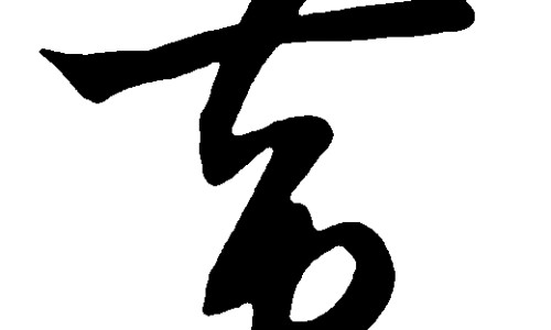 田七花之功效网- 田七花功效与作用禁忌知识,分享田七花有什么功效
